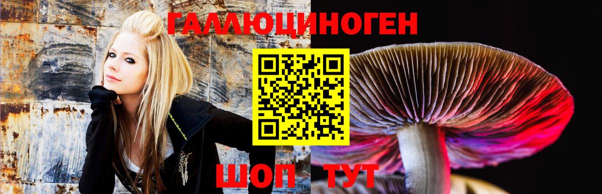 Галлюциногенные грибы Psilocybe  Вход с VPN  Тара 