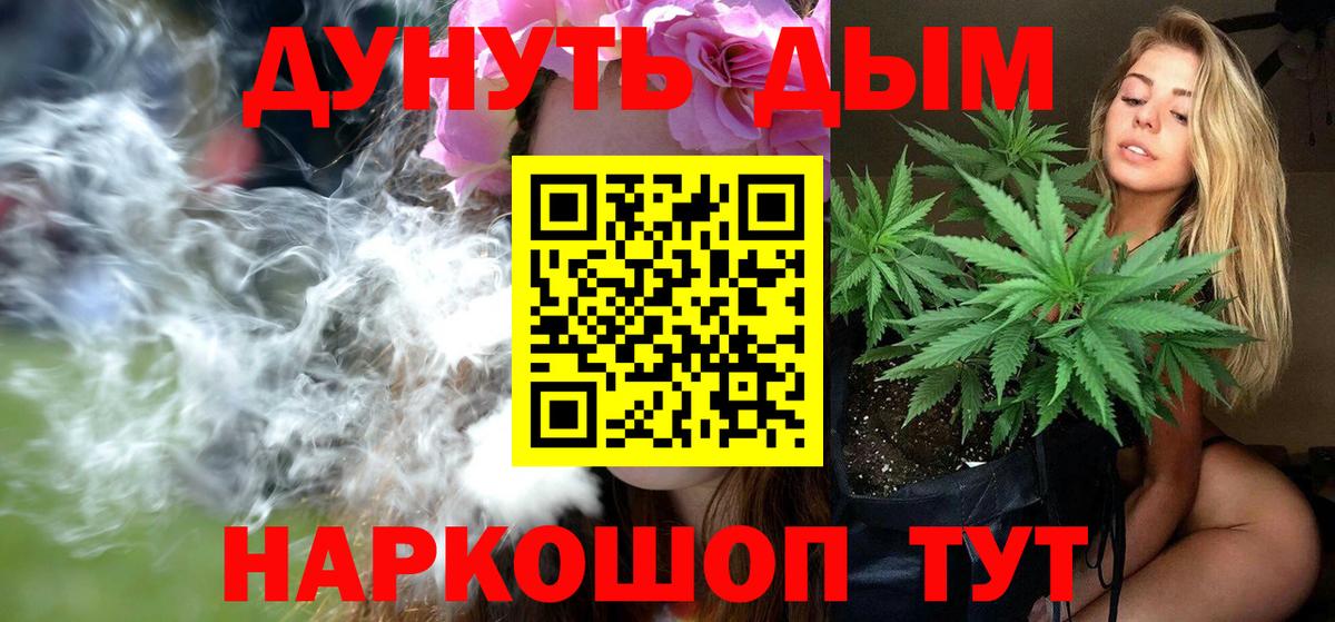 Тара  Бошки Шишки VHQ  Конопля планчик  Вход с VPN 